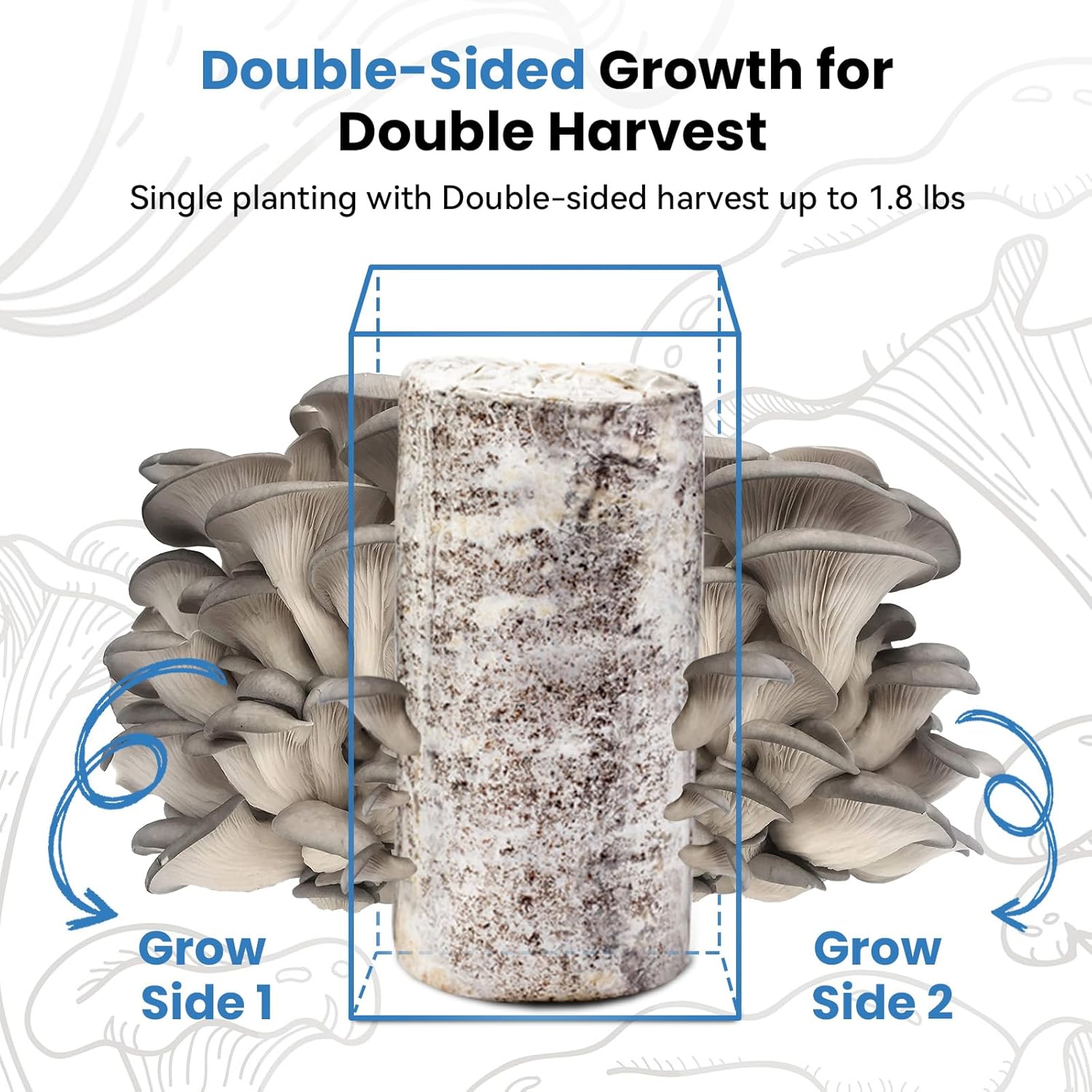 🍄 Organic Blue Oyster Mushroom Grow Kit (4lbs), Made in USA - Image 2
