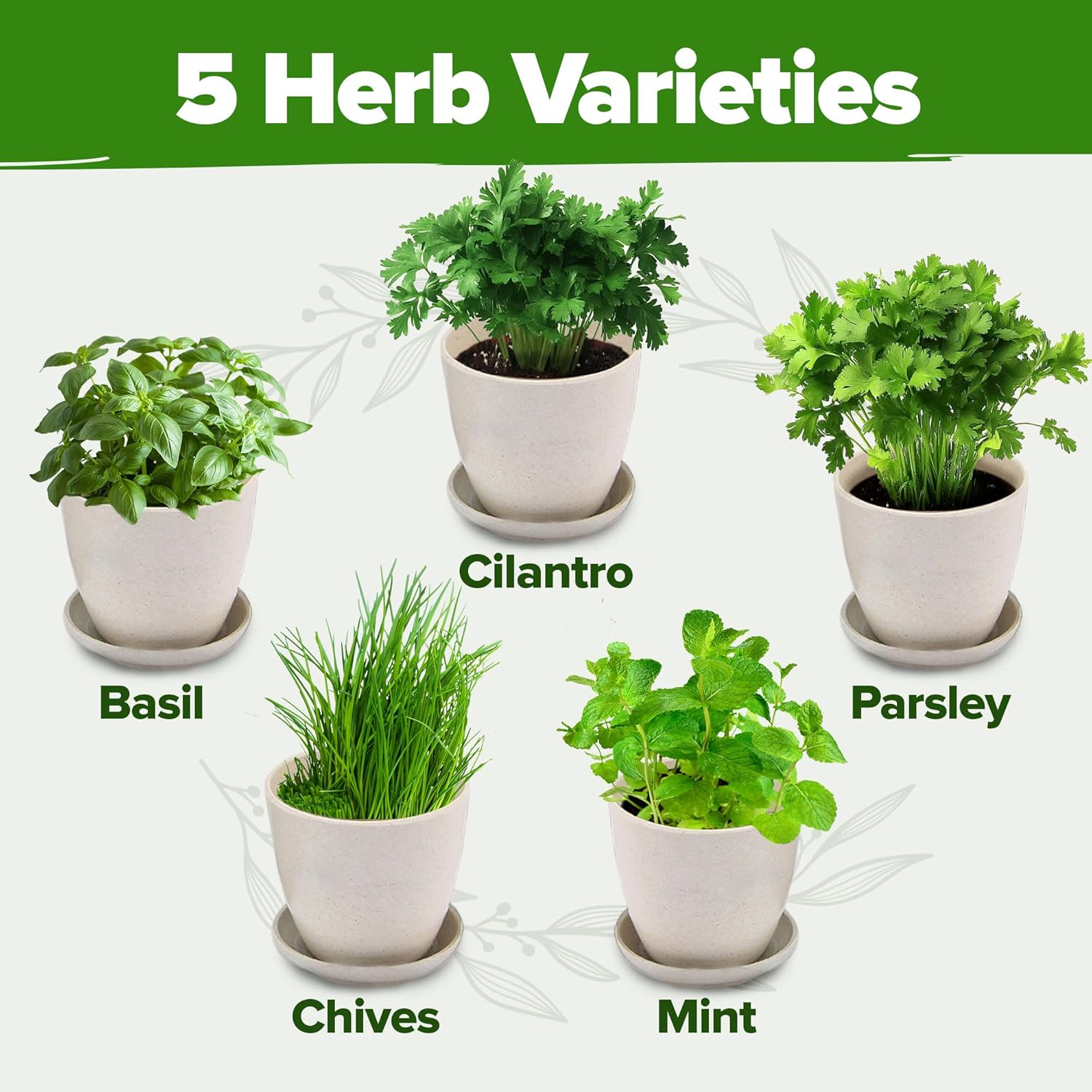 🌱 HOME GROWN Indoor Herb Garden Starter Kit - Image 4