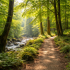 Everyday Ways to Support Natural Energy Levels